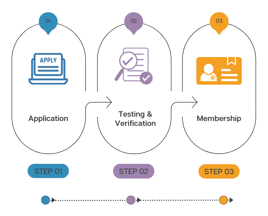 Registration Process